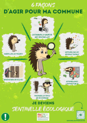 affiche-sentinelles-4_low_q-1-500x707-1-3 affiche-sentinelles-4_low_q-1-500x707-1-3