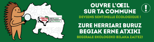 Bannière sentinelle fr